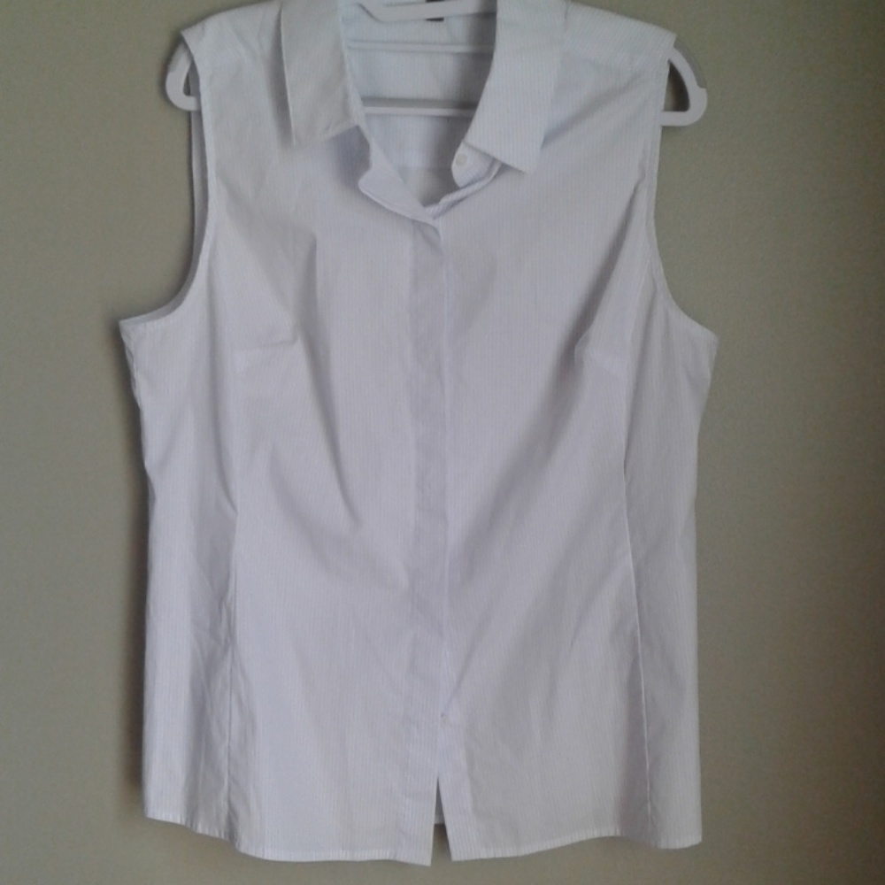 NWOT the limited sleeveless blue and white Top LG